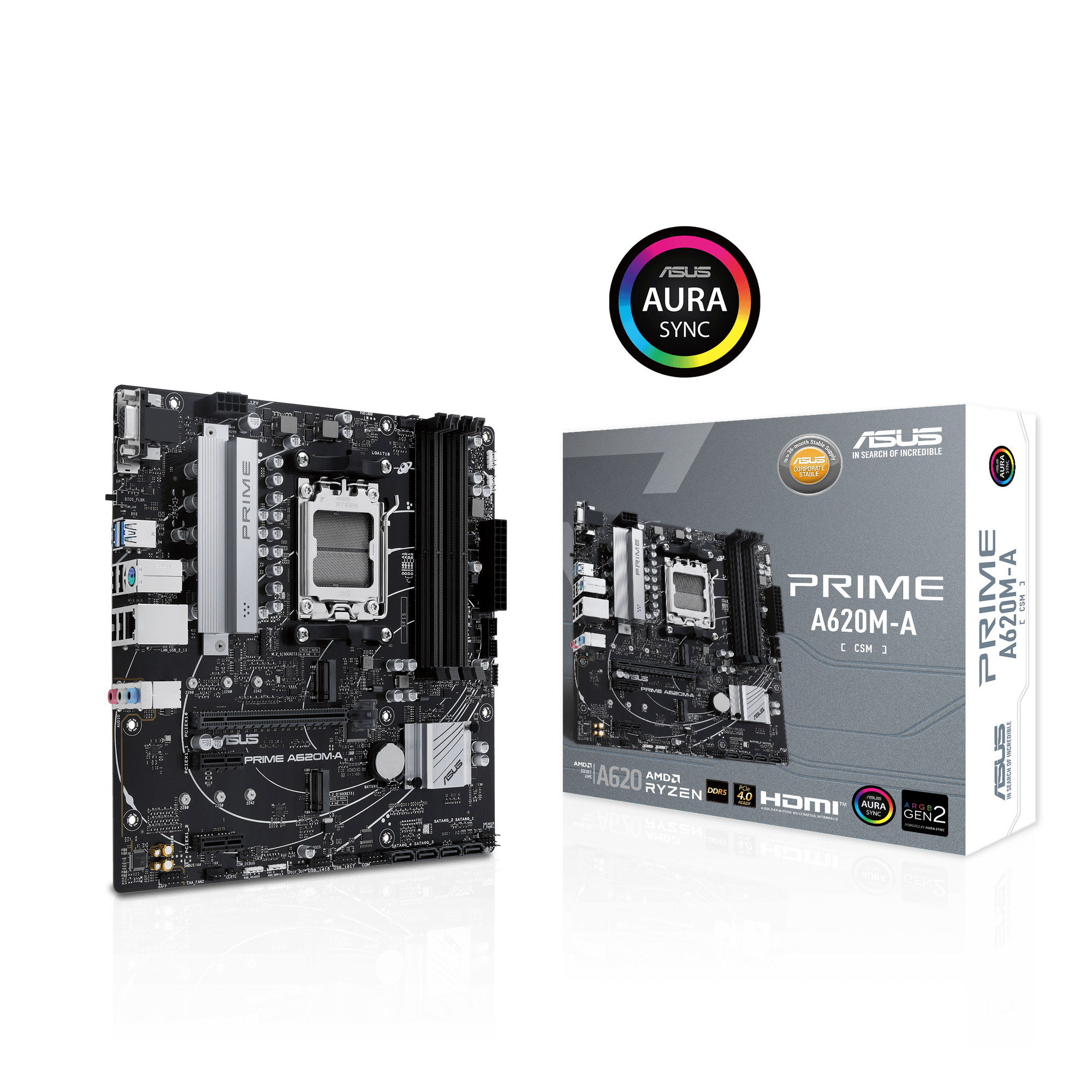 ASUS Prime A620M-A-CSM Mainboard Sockel AMD A620