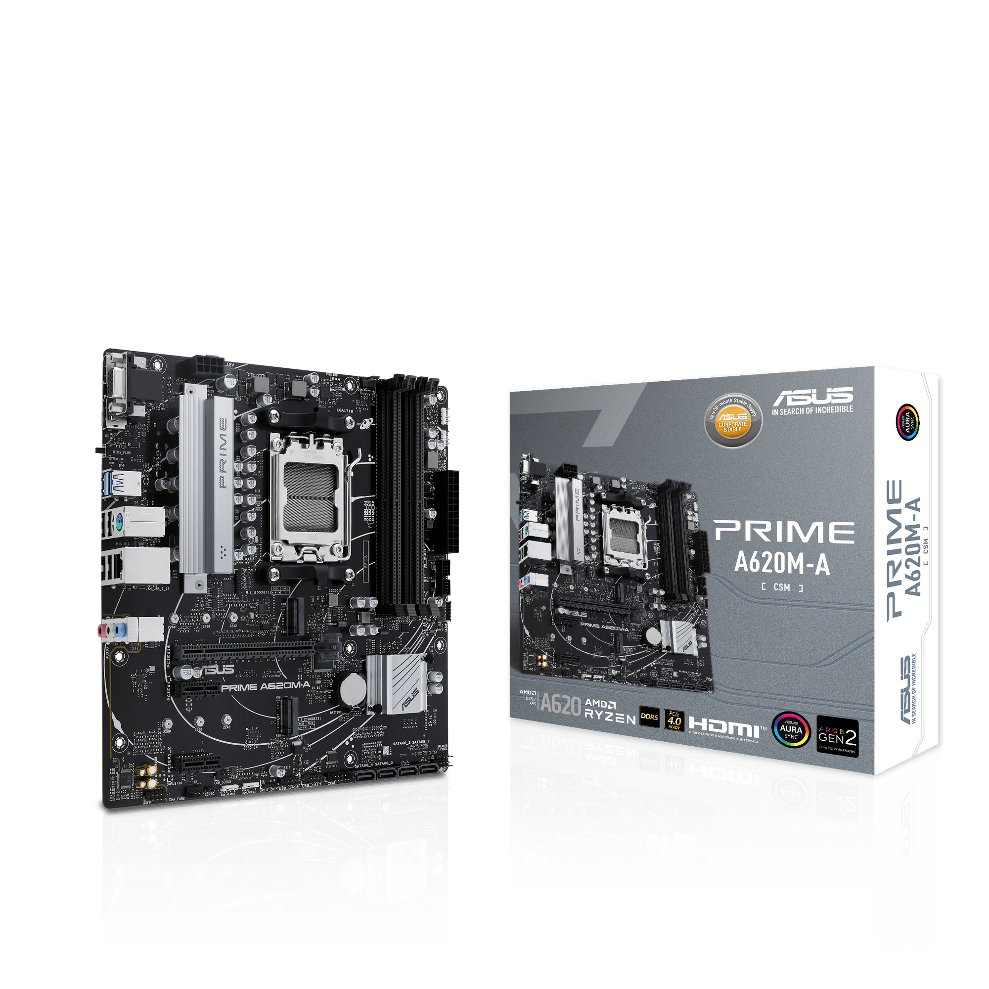 ASUS Prime A620M-A-CSM Mainboard Sockel AMD A620 5